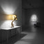BAGING | table lamp